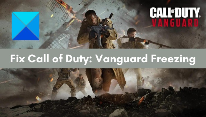 Call of Duty Vanguard หยุดค้างหรือหยุดทำงานบนพีซี 