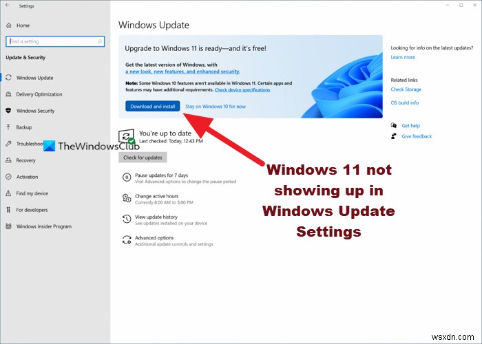 Windows 11 ไม่แสดงในการตั้งค่า Windows Update 
