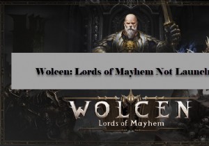 Wolcen Lords of Mayhem ขัดข้องหรือไม่เปิดบน Windows PC 