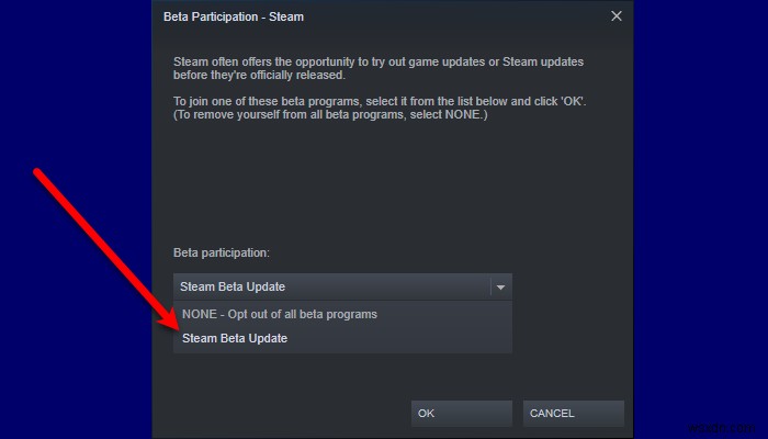 Steam Remote Play ไม่ทำงานบน Windows 11/10 