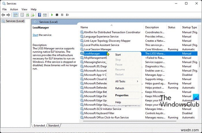 Localhost ปฏิเสธที่จะเชื่อมต่อใน Chrome บน Windows 11 