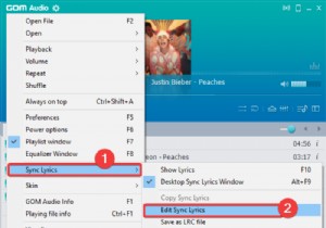 วิธีเพิ่มและฝังเนื้อเพลงลงในไฟล์ MP3 ใน Windows 11/10 