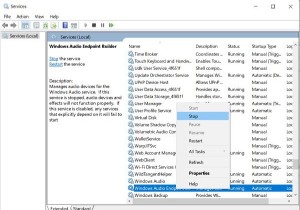 ไม่มีเสียงในแอป Video Editor ใน Windows 11/10 