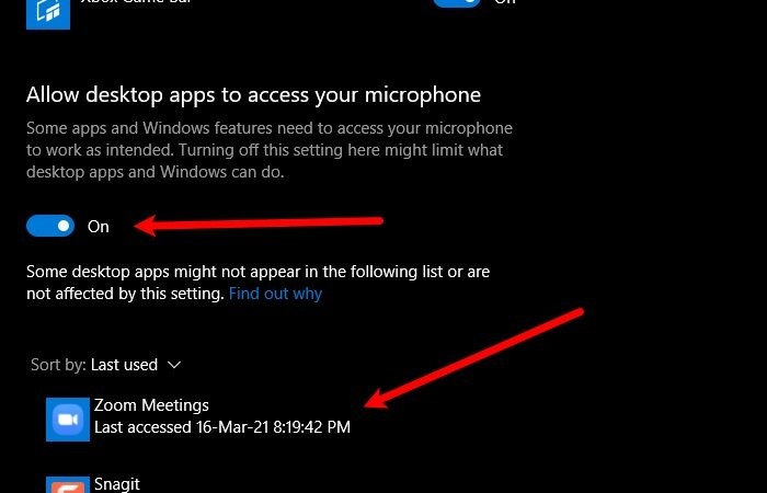 ไมโครโฟนซูมไม่ทำงานบน Windows 11/10 