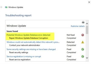 ตรวจพบข้อผิดพลาดฐานข้อมูล Windows Update ที่อาจเกิดขึ้นใน Windows 11/10 
