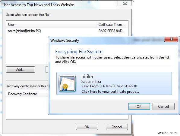 วิธีเปิดไฟล์ที่เข้ารหัสหากการเข้าถึงถูกปฏิเสธใน Windows 11/10 