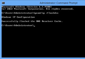 วิธีล้าง DNS Cache ใน Windows 11/10 