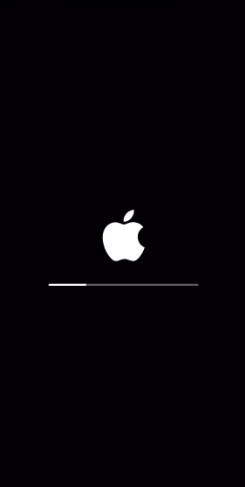 [แก้ไขแล้ว] iPhone X, 11, 12,13 ติดอยู่ใน Boot Loop ใน iOS 15/14/13 