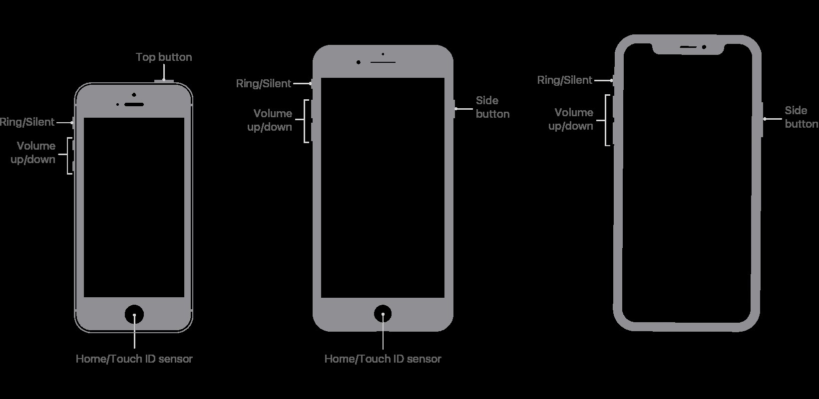 คู่มือสำหรับผู้เริ่มต้นถ่ายภาพหน้าจอบน iPhone และ iPad 