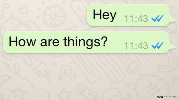 วิธีลบ Blue Tick จาก WhatsApp บนอุปกรณ์ Android และ iOS 