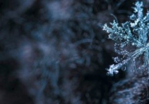 วิธีแก้ไข Mac Frozen ระหว่างการอัปเดต 