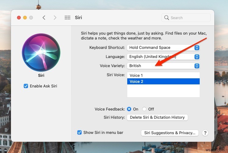 วิธีเปลี่ยนเสียงและภาษาของ Siri บน Mac และ iPhone 