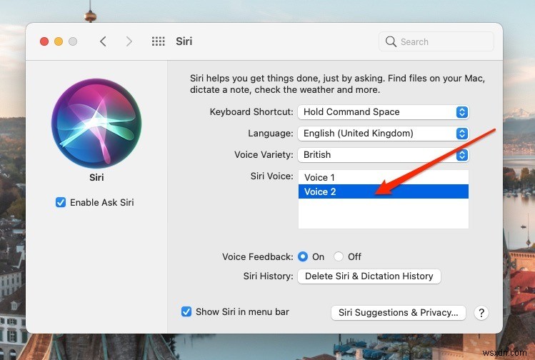 วิธีเปลี่ยนเสียงและภาษาของ Siri บน Mac และ iPhone 