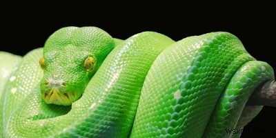 วิธีเรียกใช้สคริปต์ Python บน Mac 