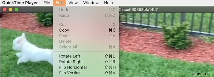 วิธีแก้ไขภาพยนตร์ด้วย QuickTime บน Mac 
