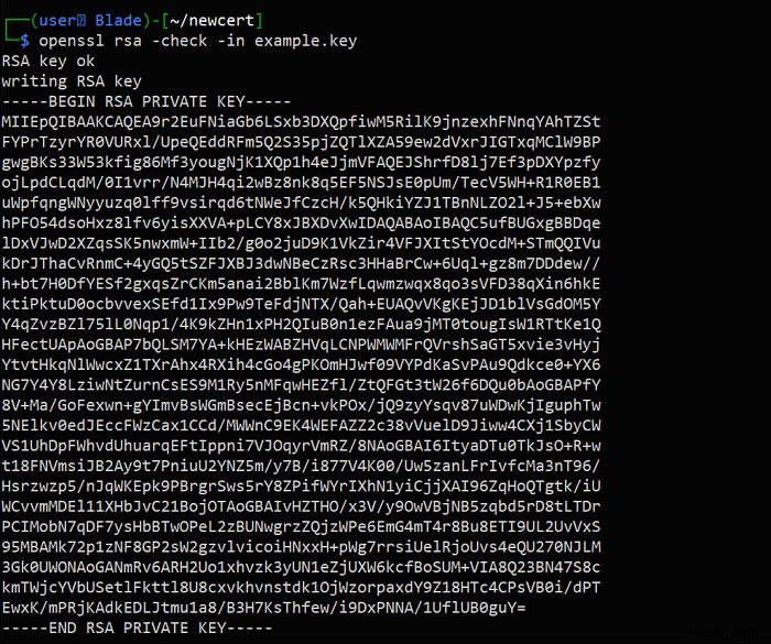 วิธีสร้างใบรับรอง SSL บน Linux โดยใช้ OpenSSL 