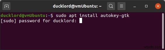 วิธีแก้ไข Can t Type in Terminal Issue ใน Linux 