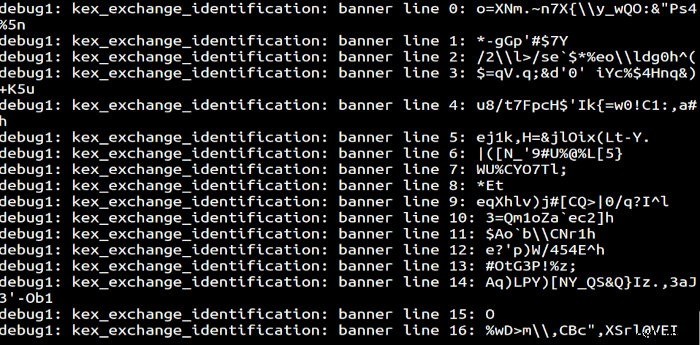 วิธีสร้าง SSH Honeypot เพื่อจับแฮกเกอร์ในเซิร์ฟเวอร์ Linux ของคุณ 