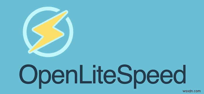 NGINX กับ OpenLiteSpeed:เซิร์ฟเวอร์น้ำหนักเบาตัวไหนดีกว่ากัน? 