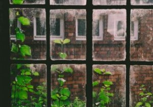 Tmux vs. Screen:Terminal Multiplexer ที่ดีที่สุดคืออะไร? 