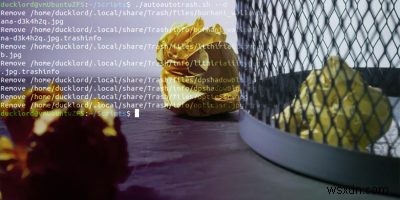 วิธีล้างถังขยะของคุณโดยอัตโนมัติใน Ubuntu ด้วย AutoTrash 