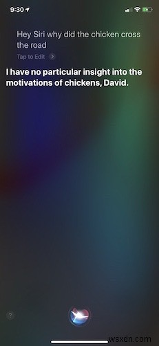 มีเรื่องตลกๆ มากมายให้ถาม Siri 