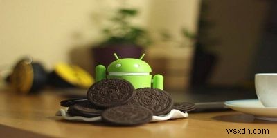 วิธีเข้าถึงตัวจัดการไฟล์ที่ซ่อนอยู่ใน Android Oreo 