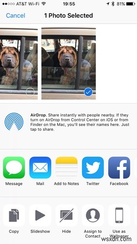 ฝึกฝนแอพ iOS Photos ด้วยอัญมณีที่ซ่อนอยู่เหล่านี้ 