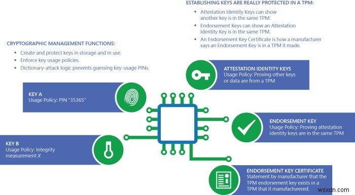 Pluton Security Processor ของ Microsoft คืออะไรและทำไมคุณถึงต้องการ 