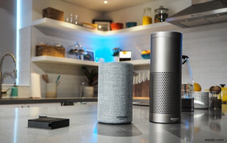 หน้าแรกของ Amazon Echo กับ Google:อันไหนที่คุณควรซื้อ 