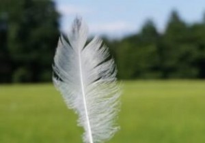 7 เบราว์เซอร์น้ำหนักเบาสำหรับ Windows 