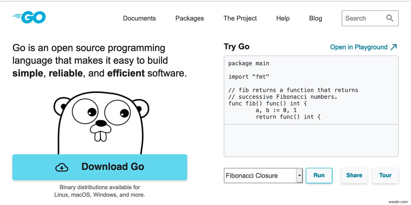 Golang vs. Java:The Programming Showdown 