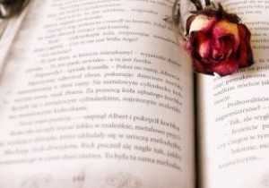 “เรื่องราว” บนโซเชียลมีเดียคืออะไร? 