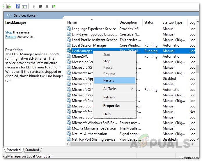 วิธีการแก้ไขข้อผิดพลาด  Localhost ปฏิเสธที่จะเชื่อมต่อ  บน Windows? 