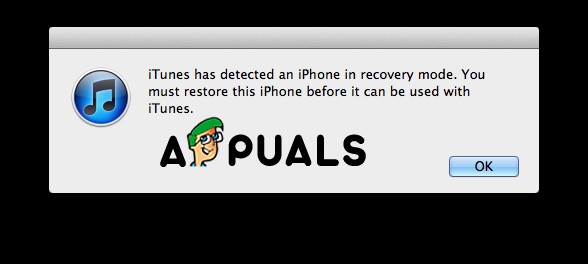 แก้ไข:iPhone ติดอยู่ที่โลโก้ Apple 