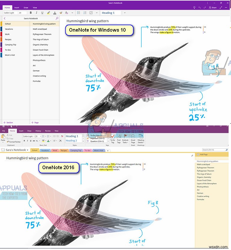 วิธีการติดตั้ง OneNote 2016 แทน OneNote 