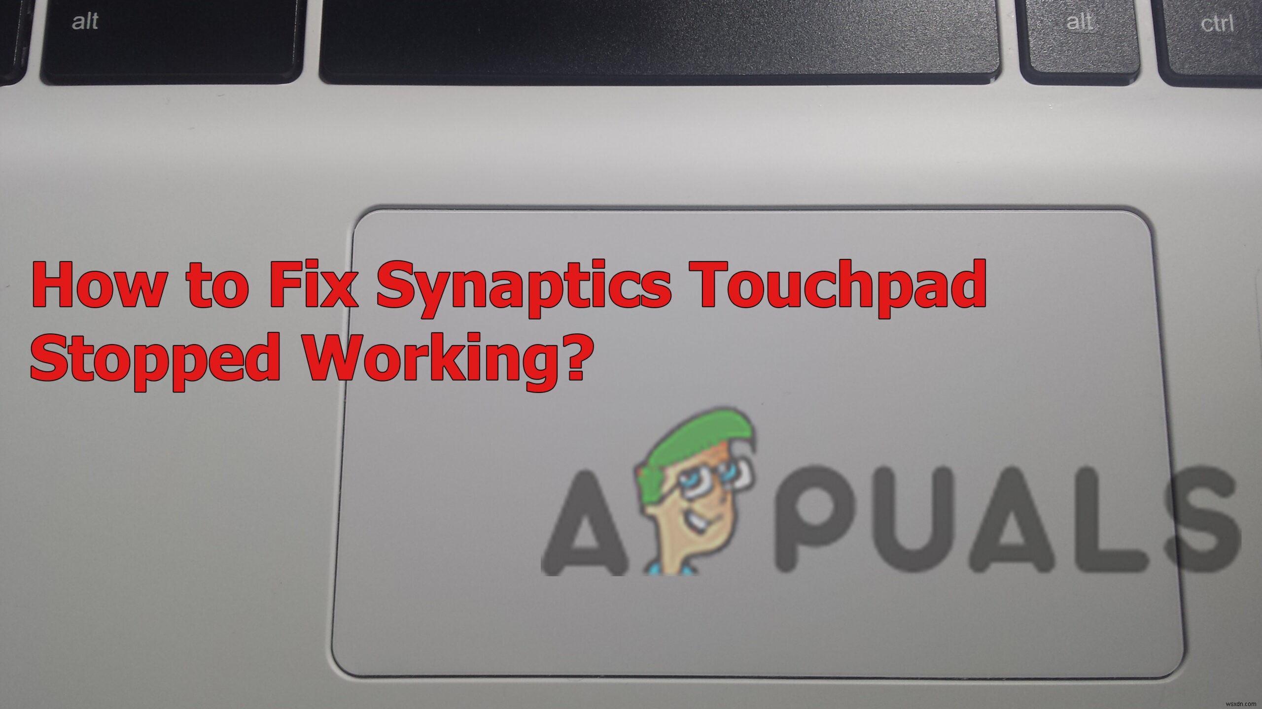 Synaptics Touchpad ไม่ทำงาน? ลองแก้ไขเหล่านี้! 