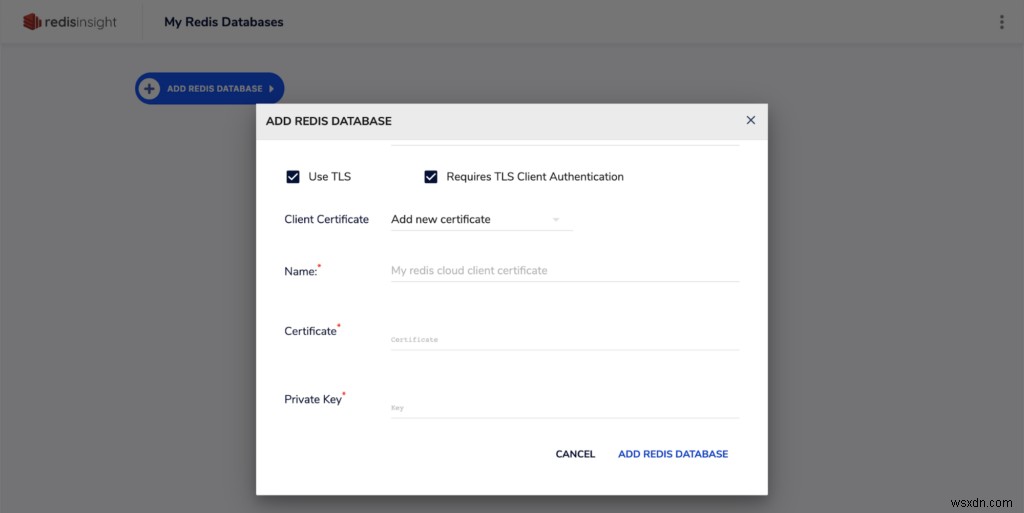 RedisInsight 1.6 นำการรองรับ RedisGears และความเข้ากันได้ของ Redis 6 ACL 