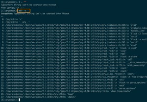 การทำงานกับข้อยกเว้นใน Pry 