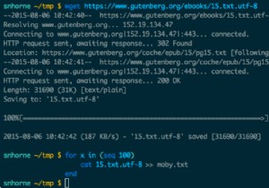 การใช้ตัวแจงนับขี้เกียจเพื่อทำงานกับไฟล์ขนาดใหญ่ใน Ruby 
