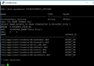 ภาพรวมการปรับเทียบ Oracle 11g I/O 