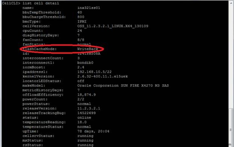 ฟีเจอร์ Oracle Exadata Flash Cache 