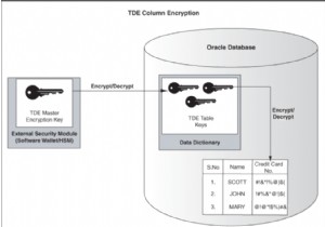 การเข้ารหัสข้อมูลที่โปร่งใสด้วย Oracle EBS 