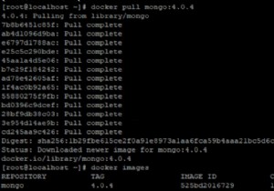 ปรับใช้ MongoDB เป็นคอนเทนเนอร์ Docker 