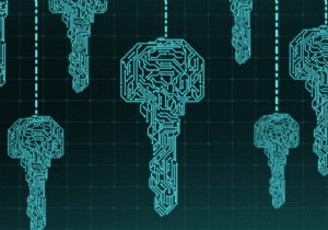 รับชื่อทั้งหมดในคอลเลกชัน MongoDB 