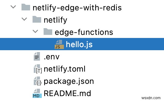 เริ่มต้นใช้งานฟังก์ชัน Netlify Edge และ Redis แบบไร้เซิร์ฟเวอร์ 