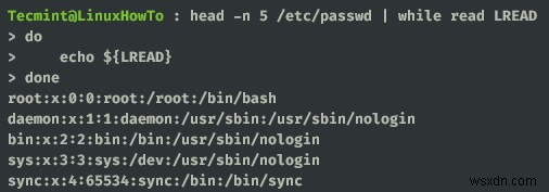 วิธีต่างๆ ในการอ่านไฟล์ใน Bash Script โดยใช้ While Loop 