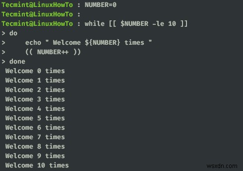 วิธีต่างๆ ในการอ่านไฟล์ใน Bash Script โดยใช้ While Loop 