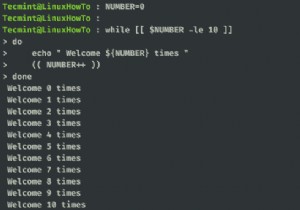 วิธีต่างๆ ในการอ่านไฟล์ใน Bash Script โดยใช้ While Loop 