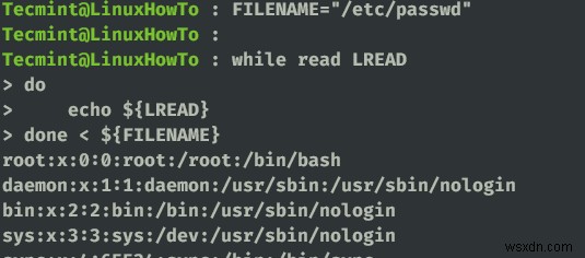 วิธีต่างๆ ในการอ่านไฟล์ใน Bash Script โดยใช้ While Loop 